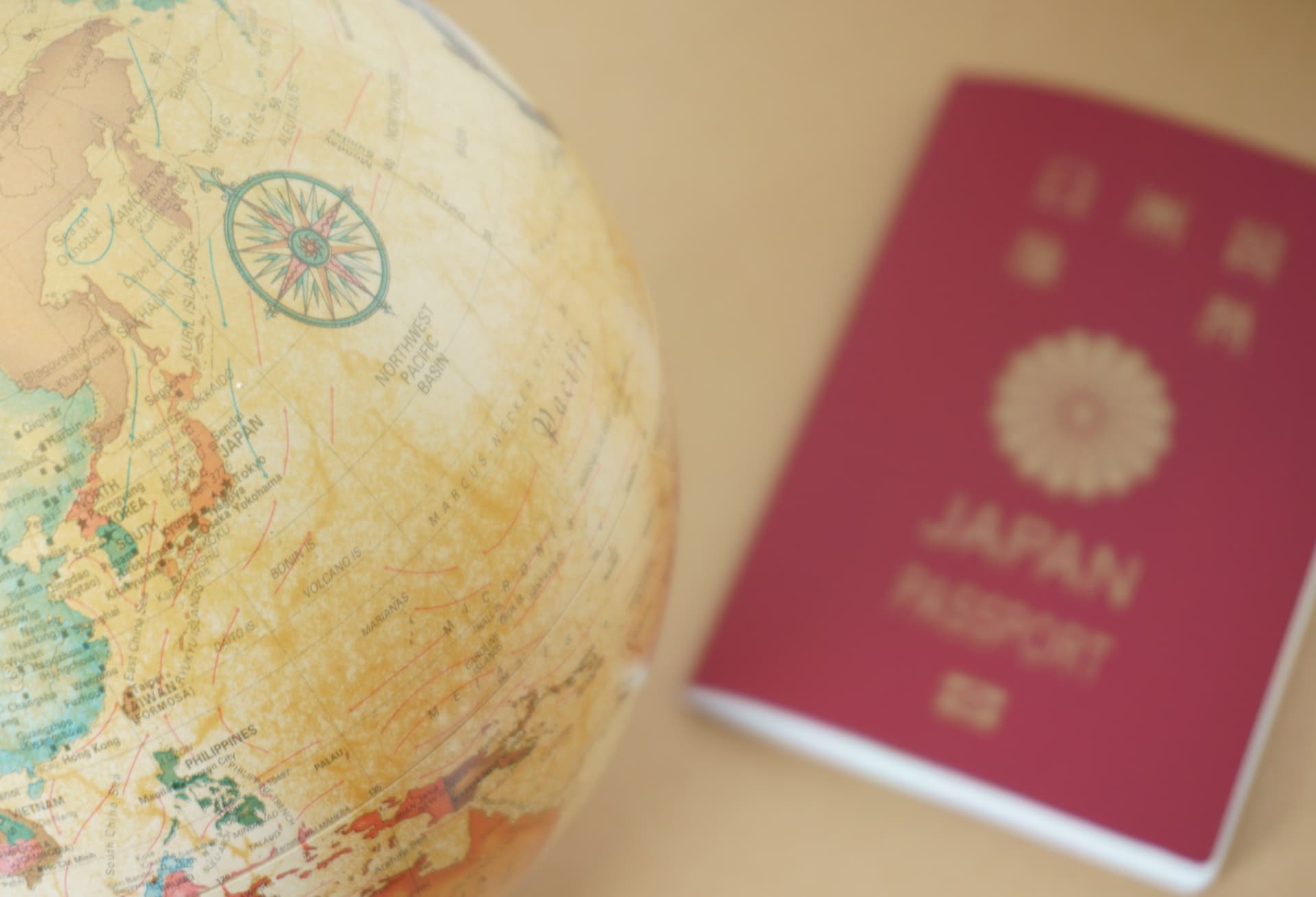 专家引导的高效学习方案